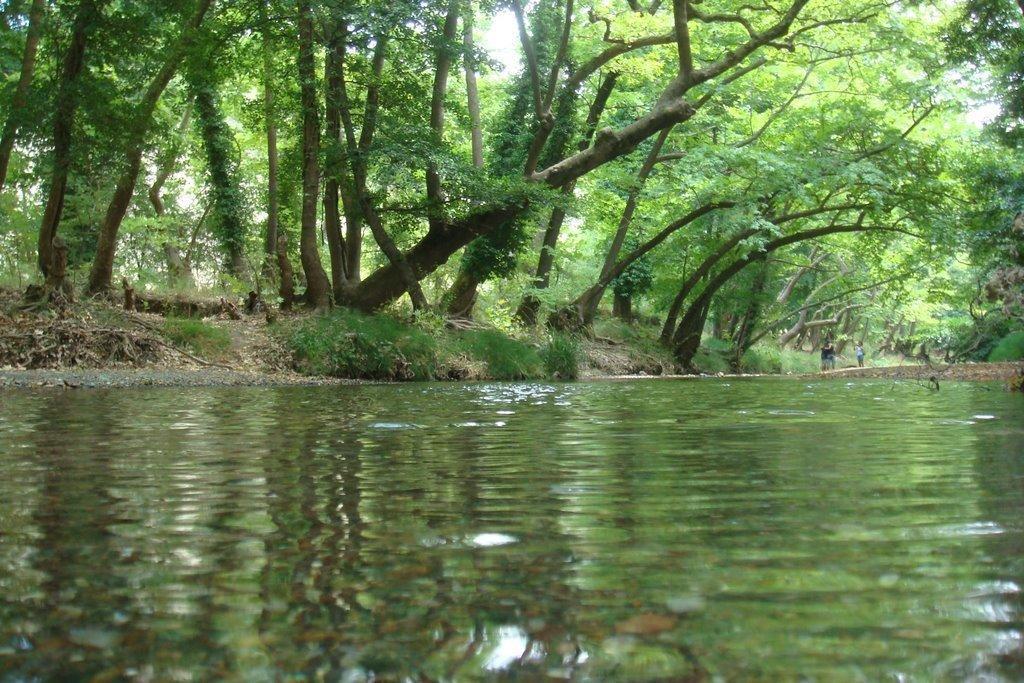 The Villa Averoff Kírinthos Pokoj fotografie